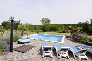 Villa with private pool and garden retreat Villa in Istria County