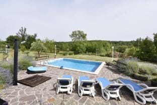 Villa with private pool and garden retreat Villa in Istria County