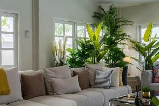 Aphrodite Pool Villa|Old City|7 Rooms| Daily Maid Villa in Chiang Mai