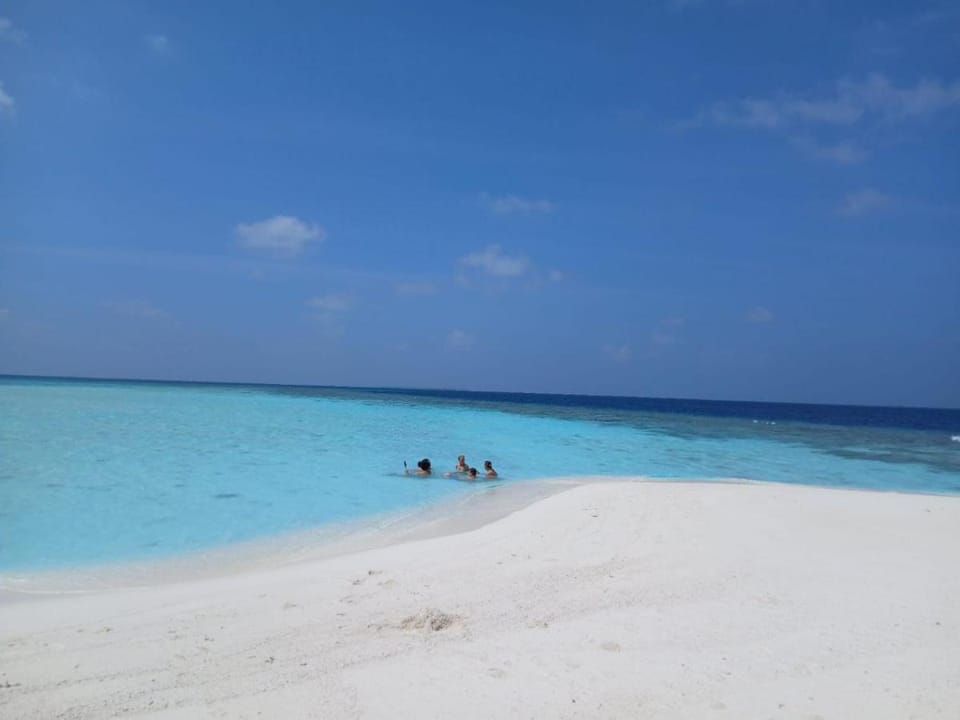 Palm Shade Paradise Hotel in Maldives