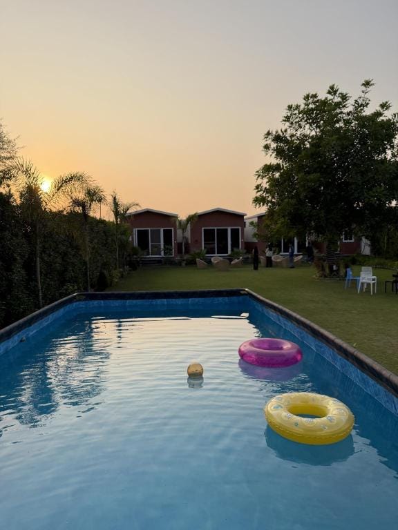 The Birds Villa Hotel in Jaipur