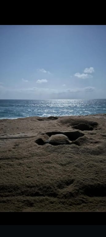 Pink Beach Guest House Hotel in Oman
