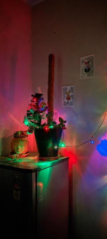 THE NATURES HOME STAY Hotel in Bengaluru