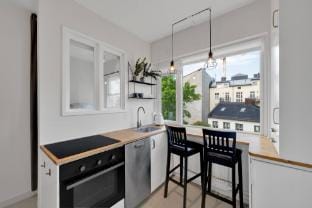 Light and Cozy Pearl, in Central Oslo Apartment in Oslo