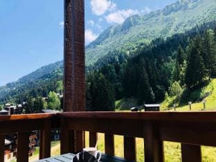 Residence Lauziere Dessus Apartment in Les Avanchers-Valmorel
