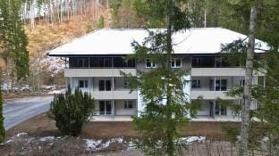 Treehouse - Alpinlake Apartments Apartment in Upper Austria