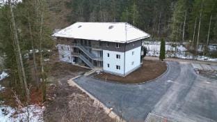 Treehouse - Alpinlake Apartments Apartment in Upper Austria