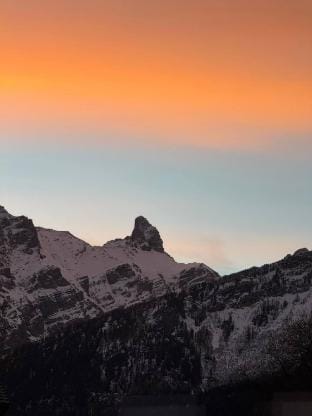 Little Chalet Piguet Apartment in Ollon