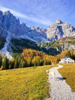 Appartamenti Ladina Dolomiti 4 Apartment in Veneto