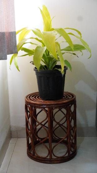 Cozy 1BHK | Near Hitech City & Mindspace Apartment in Hyderabad