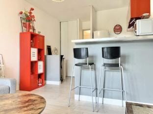Studio Sofa bed Near Gem Station Apartment in Grenoble