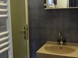 Apartment in Aurette near Pla dAdet Apartment in Saint-Lary-Soulan