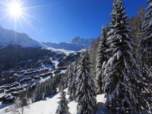 Apartment in France near Ski Slopes Apartment in Les Avanchers-Valmorel