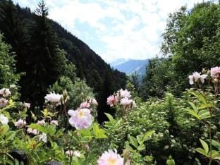 Chalet La Cordillere Apartment in Villard-sur-Doron
