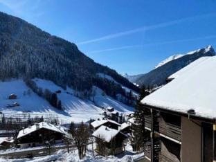 Studio in La Clusaz with Aravis Mountain Views Apartment in Le Grand-Bornand