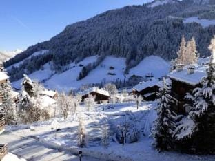 Studio in La Clusaz with Aravis Mountain Views Apartment in Le Grand-Bornand