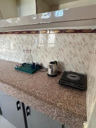 White House BnB Fort View Luxury 2 BHK Apartment Apartment in India