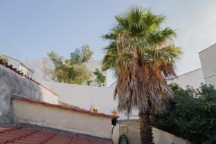 Malmousque City House with Patio  Cat Apartment in Marseille