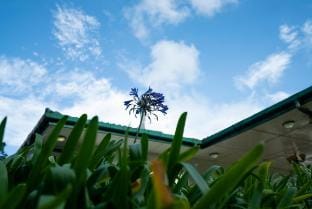 The Seven Oaks Vacation rental in Nuwara Eliya