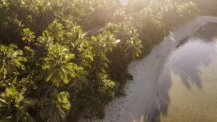 Coral Coast Beachfront Homestay Room 1 Vacation rental in Baravi
