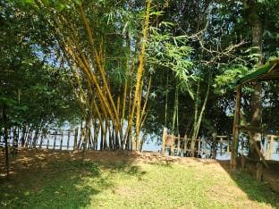 The Cove, ' the silent Symphony ' Vacation rental in Kerala