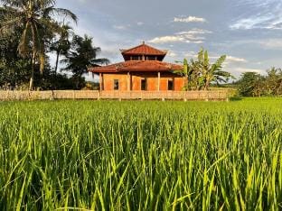 Cacao Bamboo House Vacation rental in Kerambitan