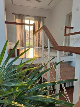 Ant Homes Kumbalangi Villa in Kochi