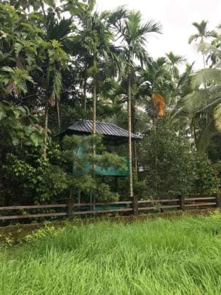 Find your peace:amidst nature’s embrace (Villa 1) Vacation rental in Kerala