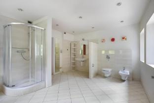 Golden Villa - Billiards, Sauna, Fireplace, Grill Vacation rental in Masovian Voivodeship