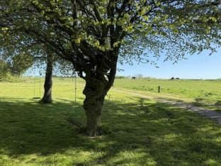 person holiday home in Bedsted Thy-By Traum Vacation rental in Denmark