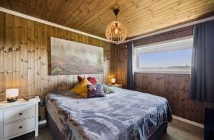 Family cabin BUDOR 60 min from OSL Alpine Cross country skiing Vacation rental in Viken, Norway