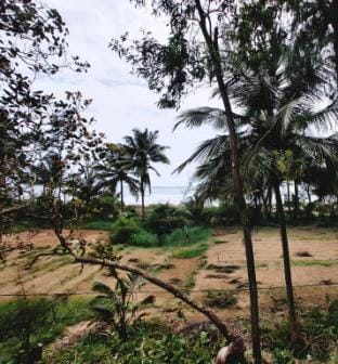 Cozinn B117 in Gokarna Farm Stay in Karnataka