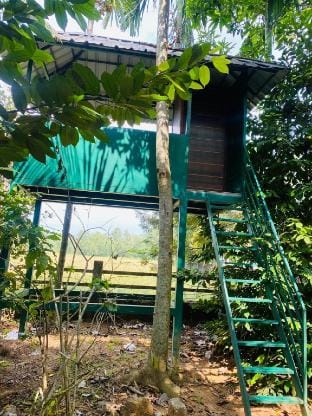 Find your peace:amidst nature’s embrace (2Villa ) Farm Stay in Kerala