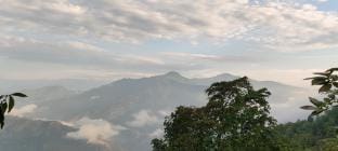 TRANQUIL HILL TOP HOMESTAY  Vacation rental in West Bengal