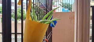 Silver Lining Homestay Varanasi Uttar Pradesh Vacation rental in Varanasi