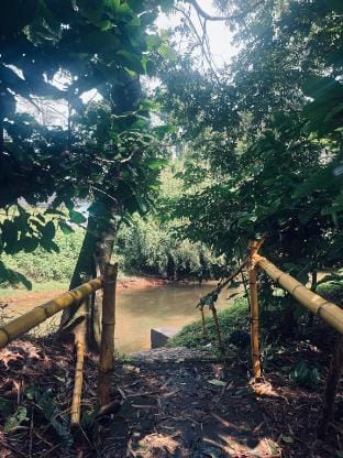 Bamboo heritage  Vacation rental in Kerala
