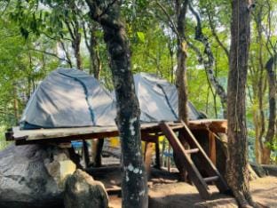 earthwise tent camping Luxury tent in Kerala