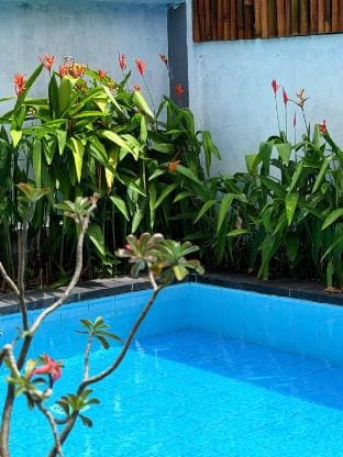 Villa 2 Bedroom Canggu Villa in North Kuta