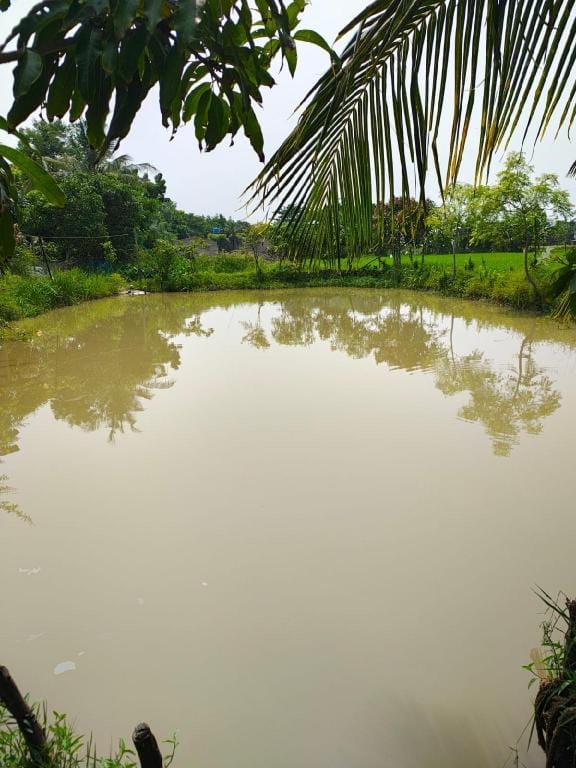 The Mangrove Nest Hotel in West Bengal