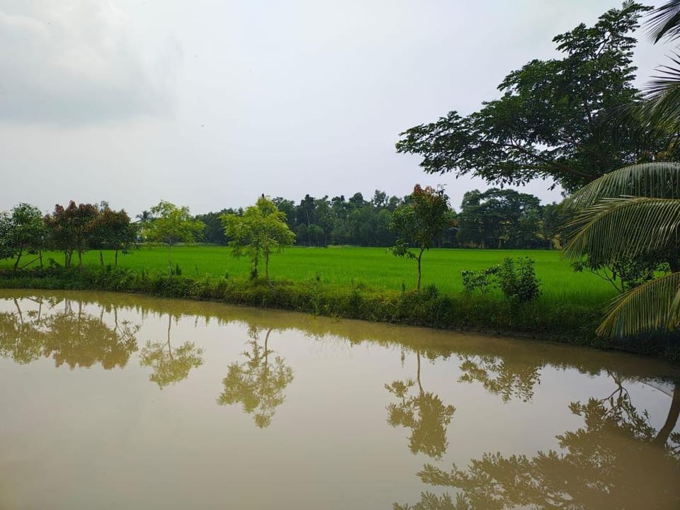 The Mangrove Nest Hotel in West Bengal