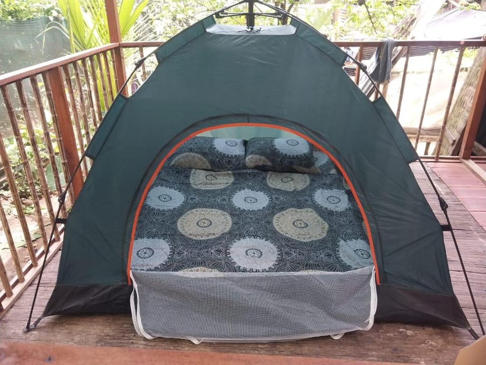 Apo-Experience- Eco Camping Cultural Hotel in Costa Rica