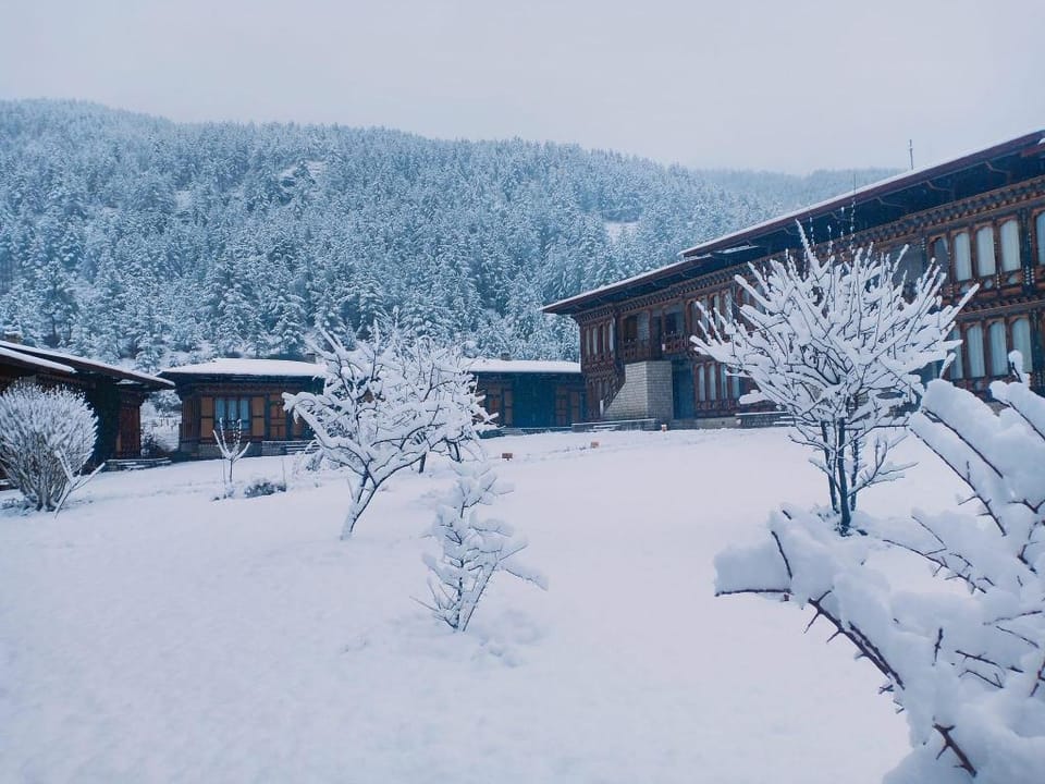 Yozerling Lodge Hotel in Asia