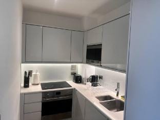 Cozy one bedroom with a Big Balcony and parking Apartment in Birmingham