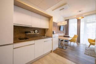 Comfort Studio with King-Size Bed for 2 People 24-7 Check-in Apartment in Graz