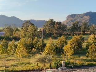 Cozyhouse Khaoyai Villa  Country House in Thailand
