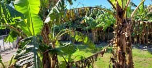 One-room apartment with kitchen! 1min to the sea! Vacation rental in Okinawa Prefecture