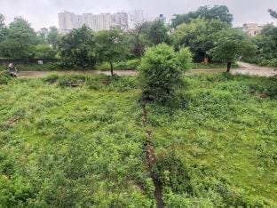 A little peacful retreat Vacation rental in Jaipur