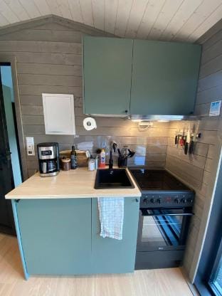 Black Mirror , Jacuzzi all year Vacation rental in Viken, Norway
