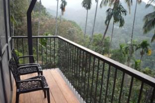 Waterfall View Stay Near Chappanthotam Waterfalls Vacation rental in Kerala