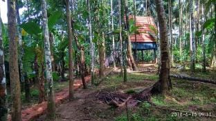 The Riverloft Kabani, Wayanad, Kerala Farm Stay in Kerala